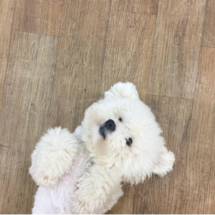 가1나2다 프로필