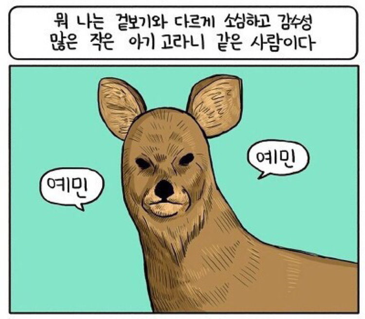 예밈고라늬 프로필