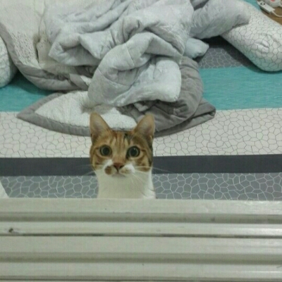 순대국밥족발 프로필