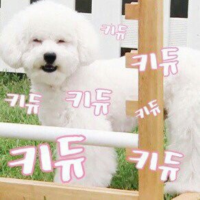 SM매니지먼트 프로필