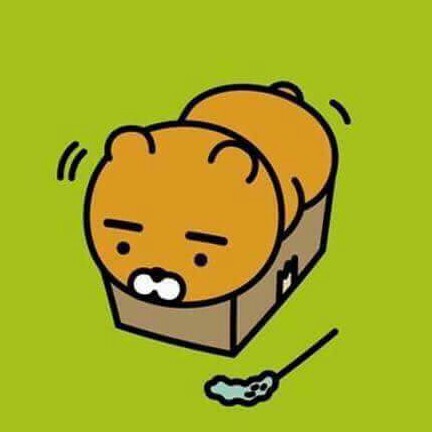 Caturday 프로필