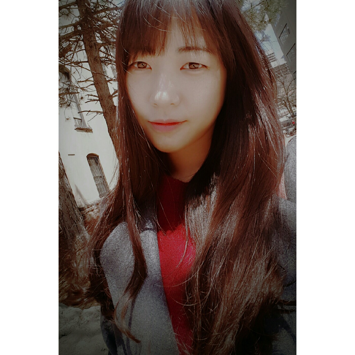 꼬등어 프로필