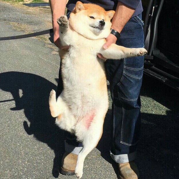 th현 프로필