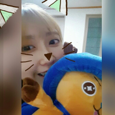 완벽정품 프로필