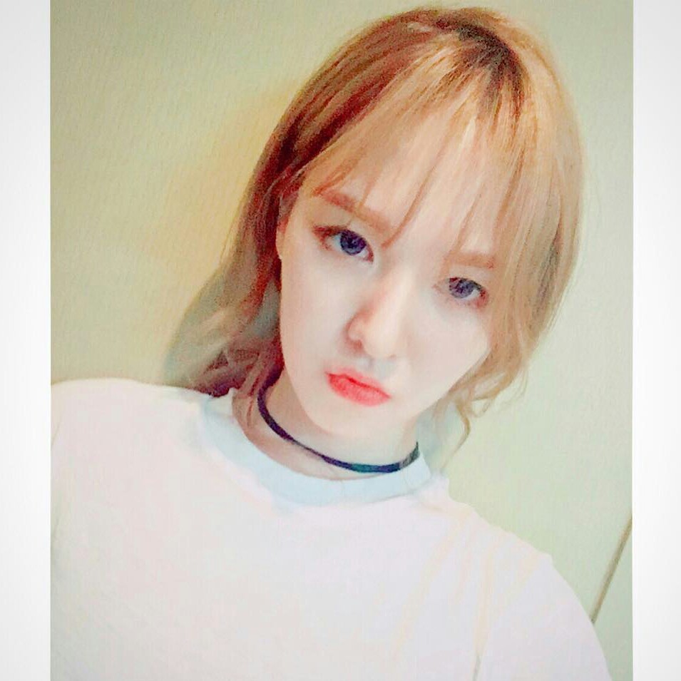 조함 프로필