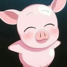 강우정 프로필