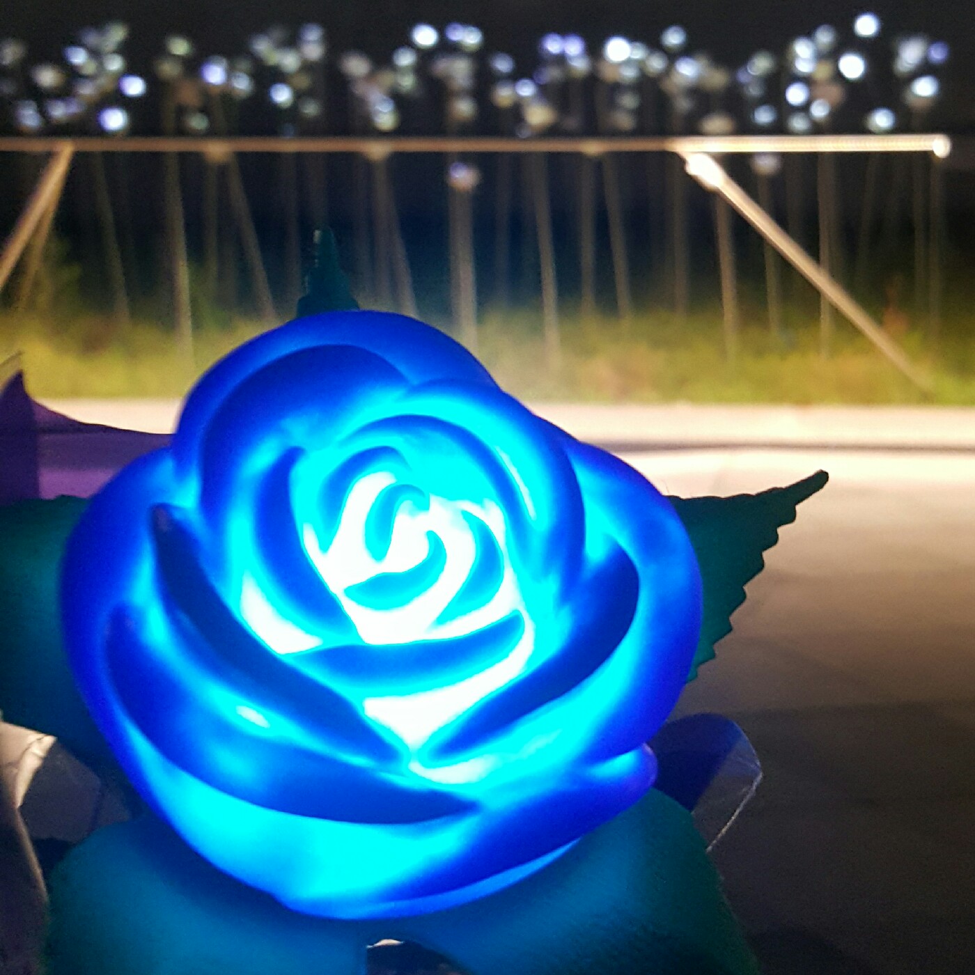 여니타 프로필