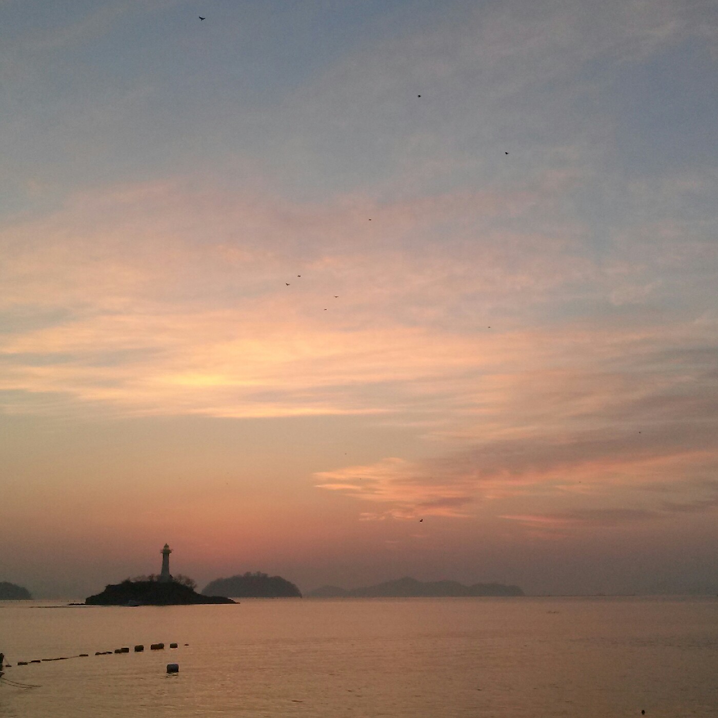 미량 프로필