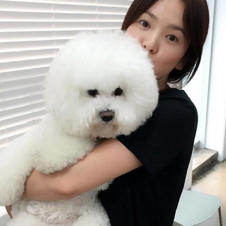 빵냔 프로필