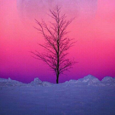 하이요니별 프로필