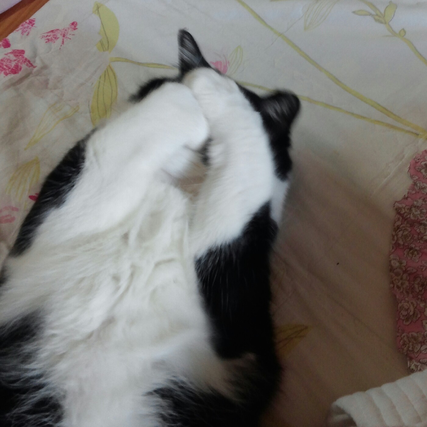 흠냐냥이 프로필