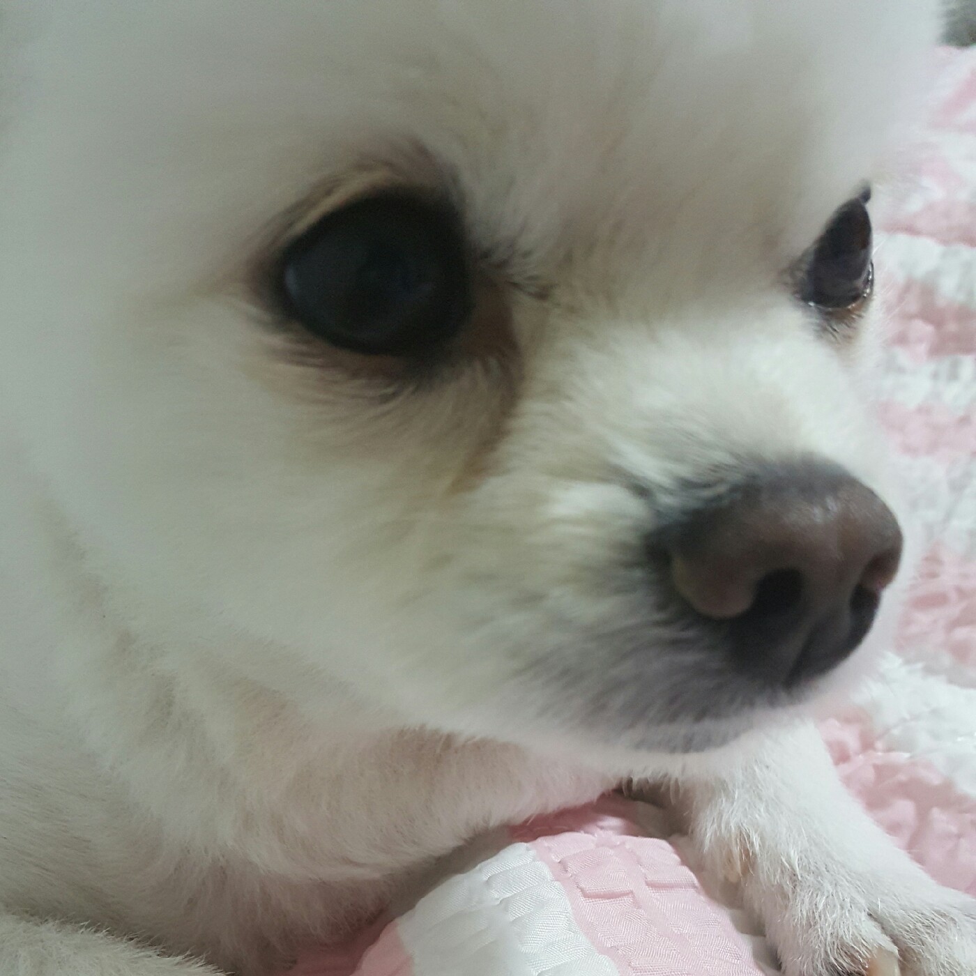 쪼꼬바♥ 프로필