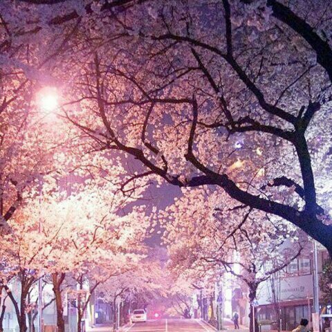 뿌요알림 프로필