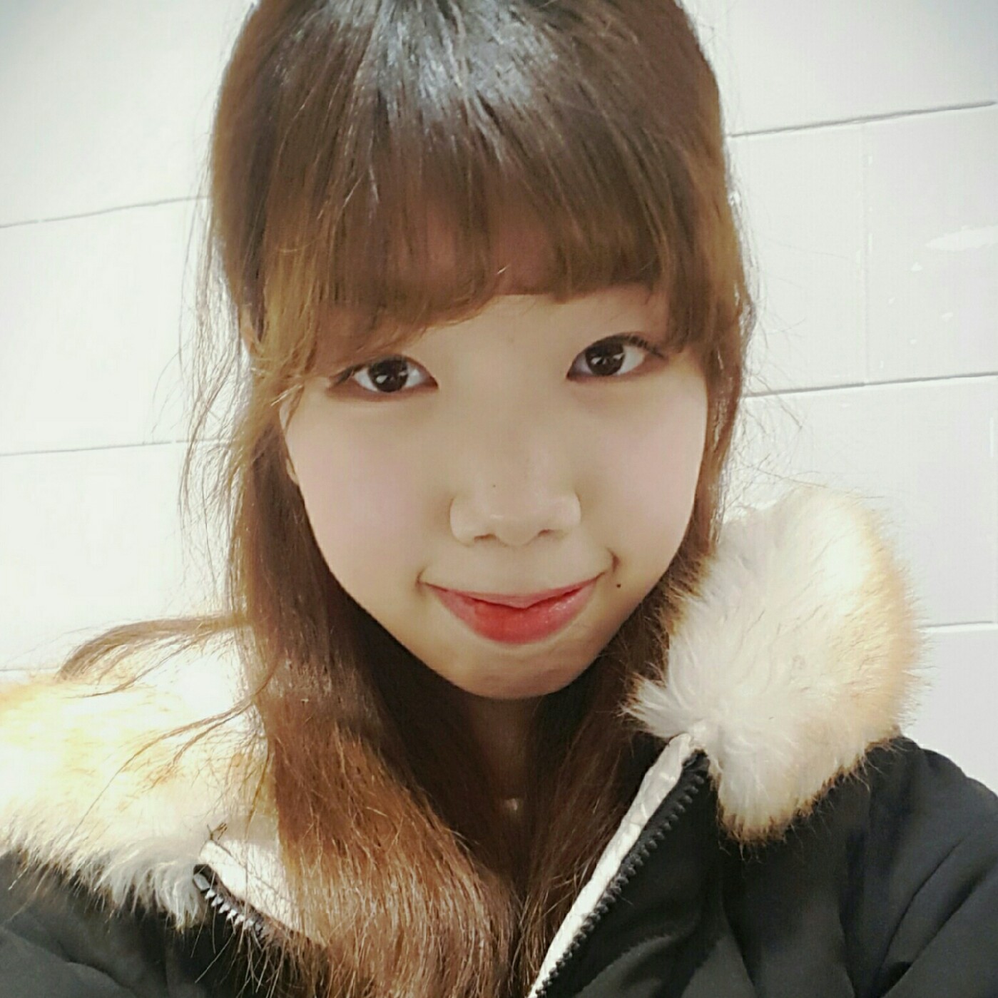 뽀오뱅 프로필