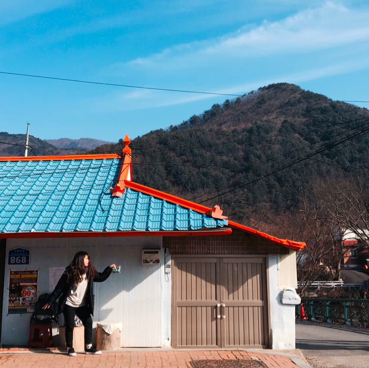 유징징이 프로필