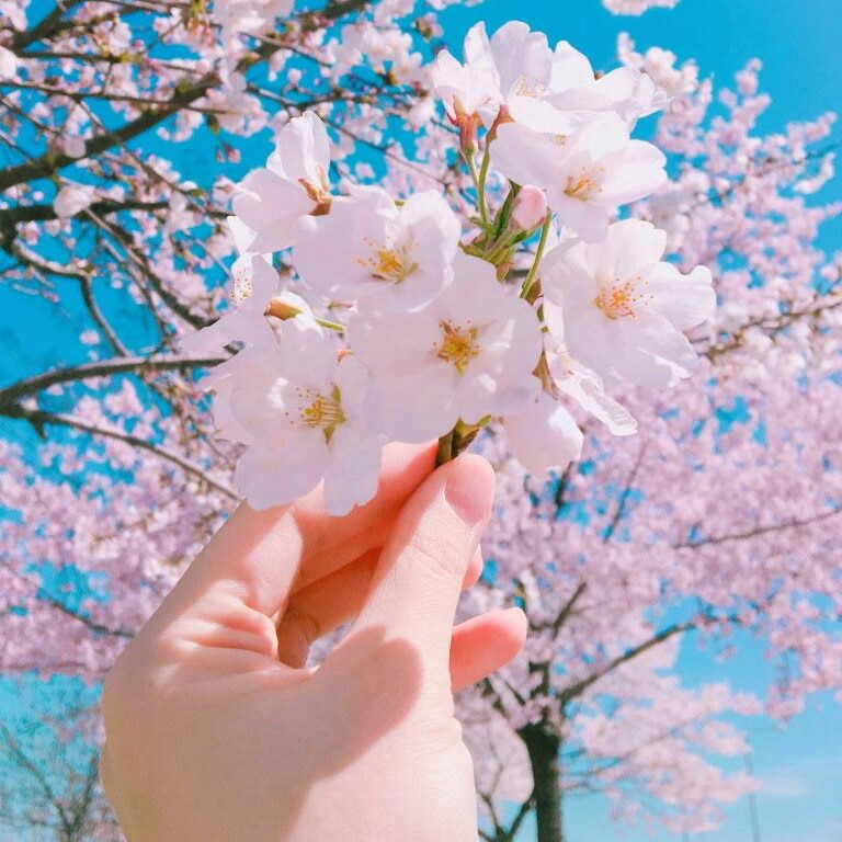 namvely 프로필