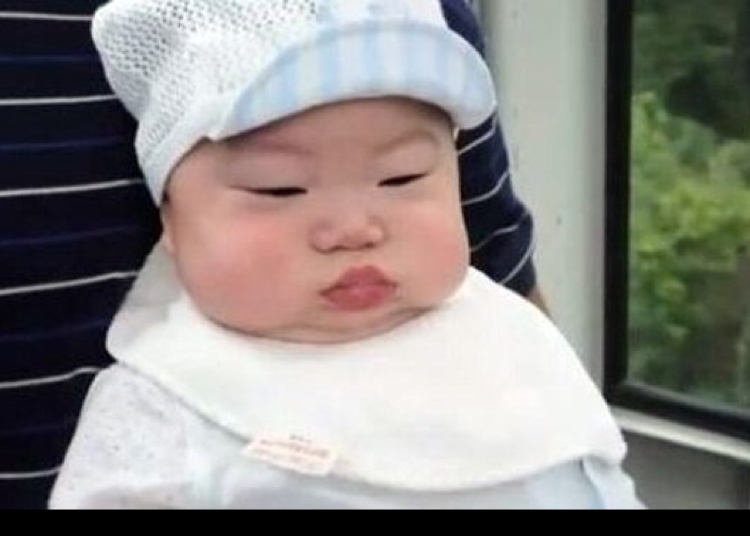 해오니zzz 프로필
