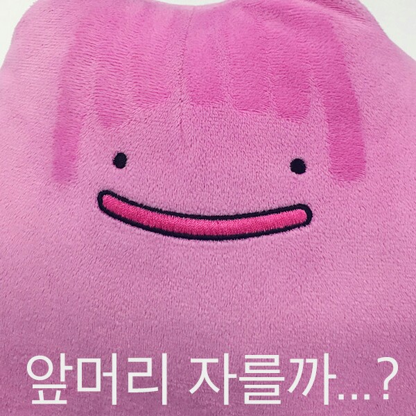 나영임 프로필