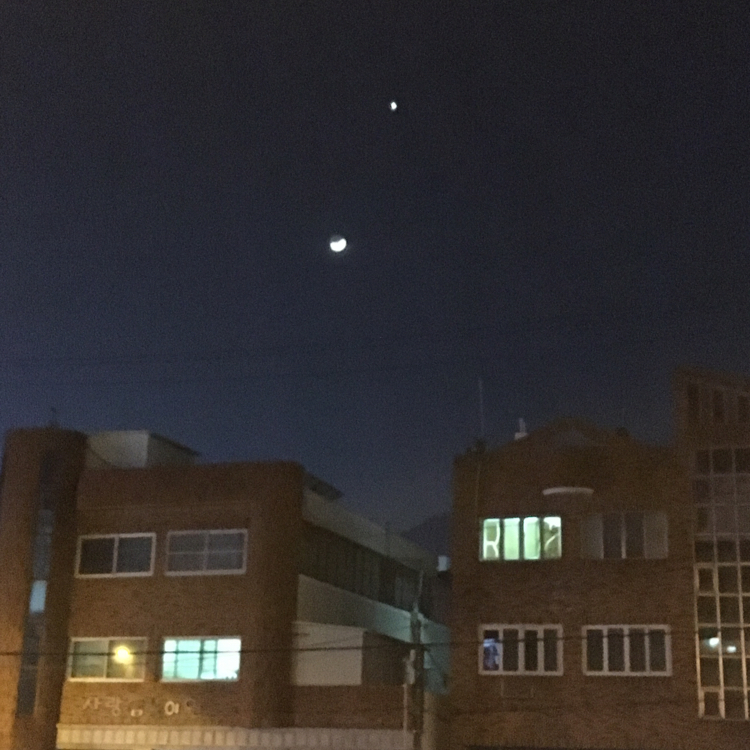 한정판키트 프로필