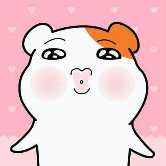리뷰어 프로필