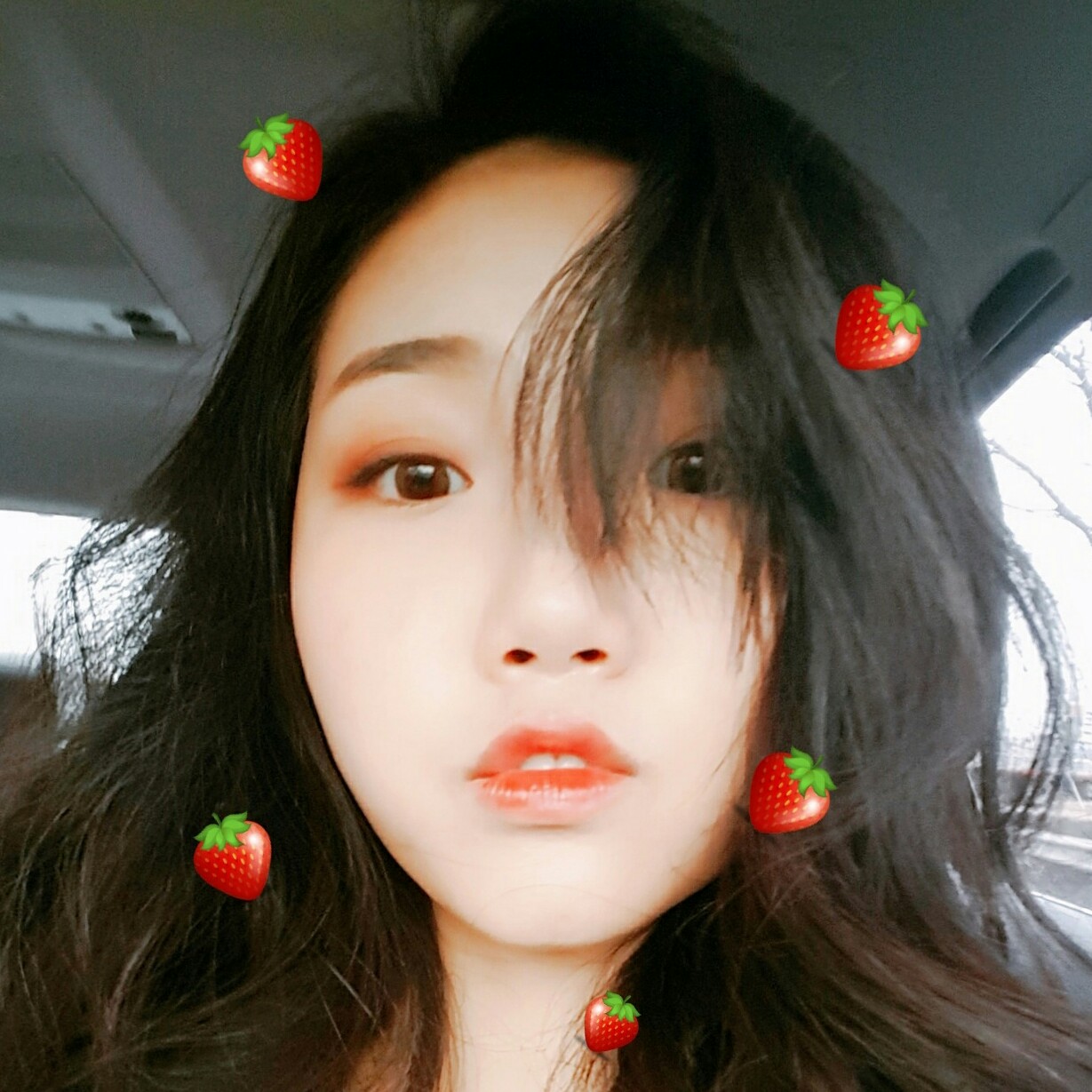 요를레히이 프로필