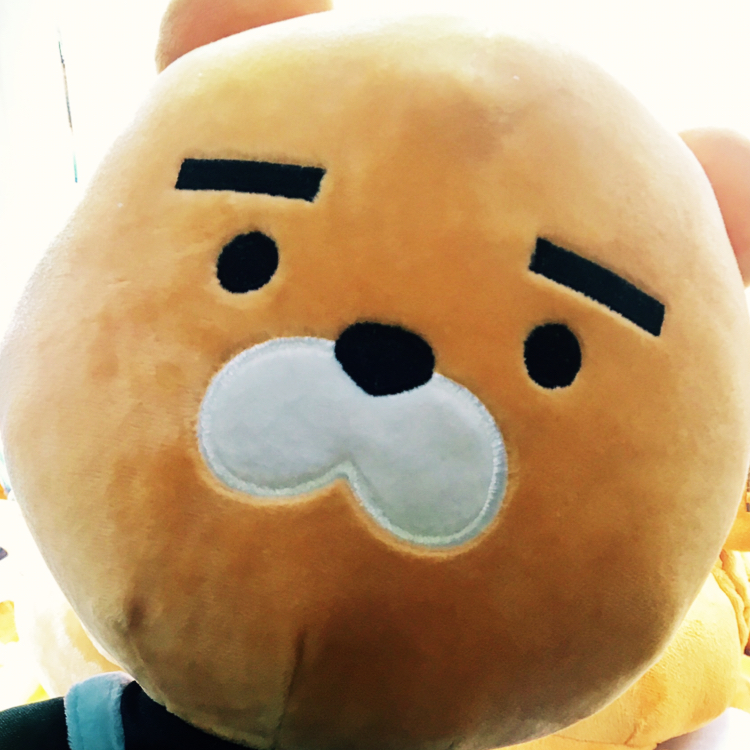 꿀현 프로필