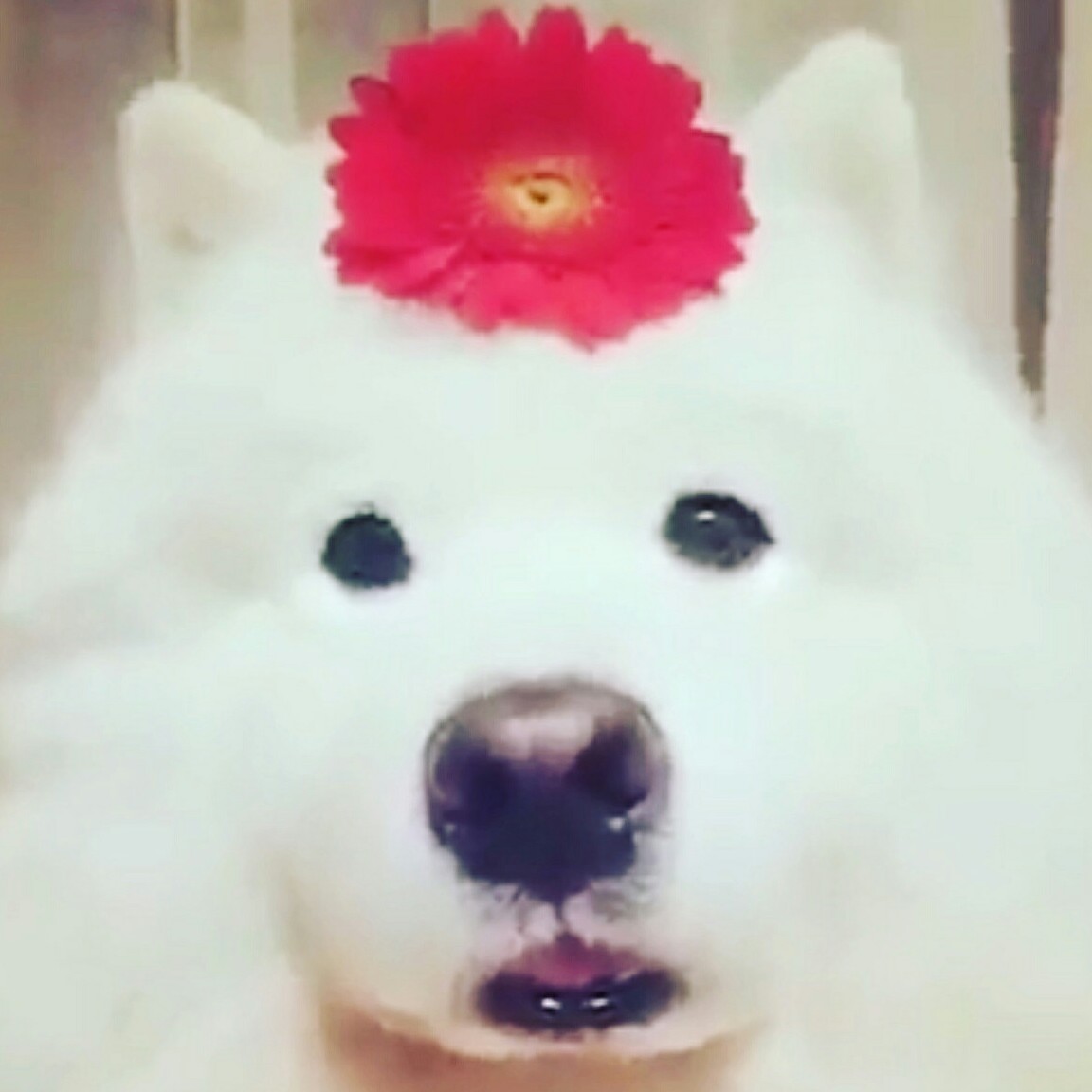 우어어엏헣 프로필