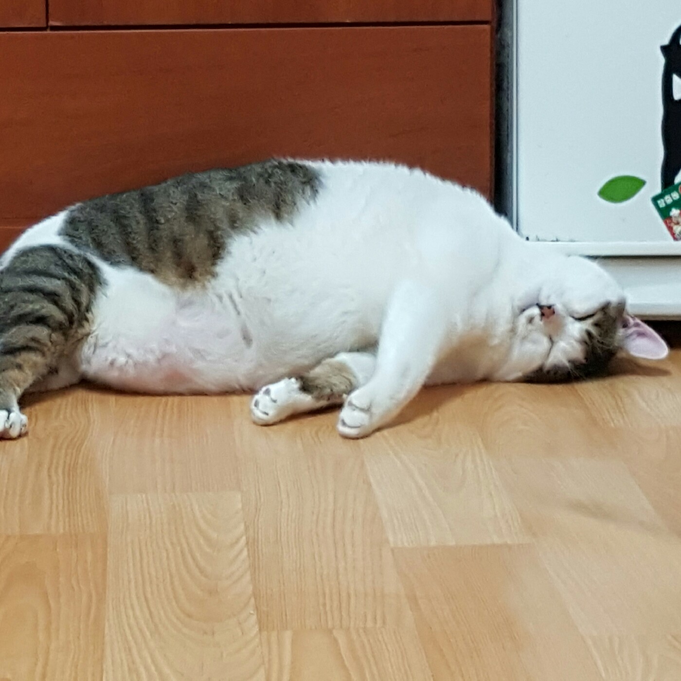 베르사유이장 프로필
