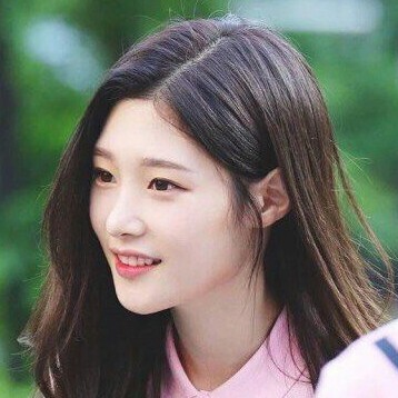 초코씌 프로필