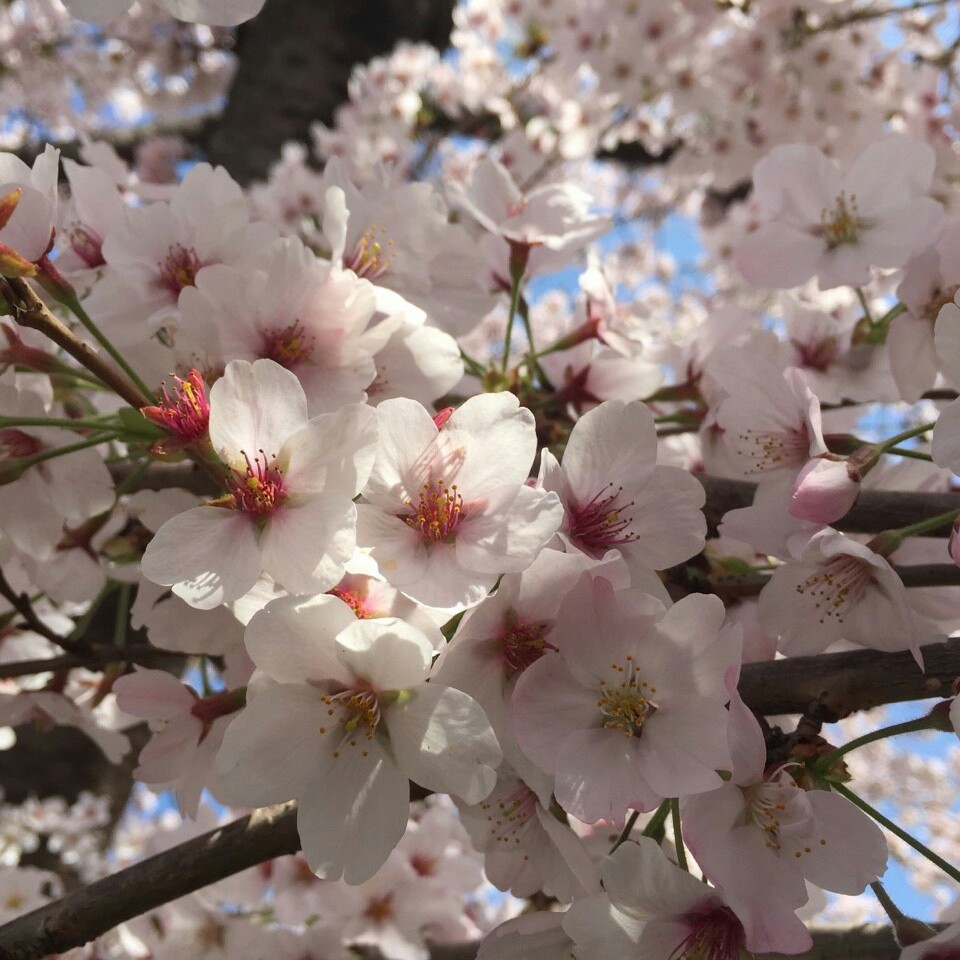 여량 프로필