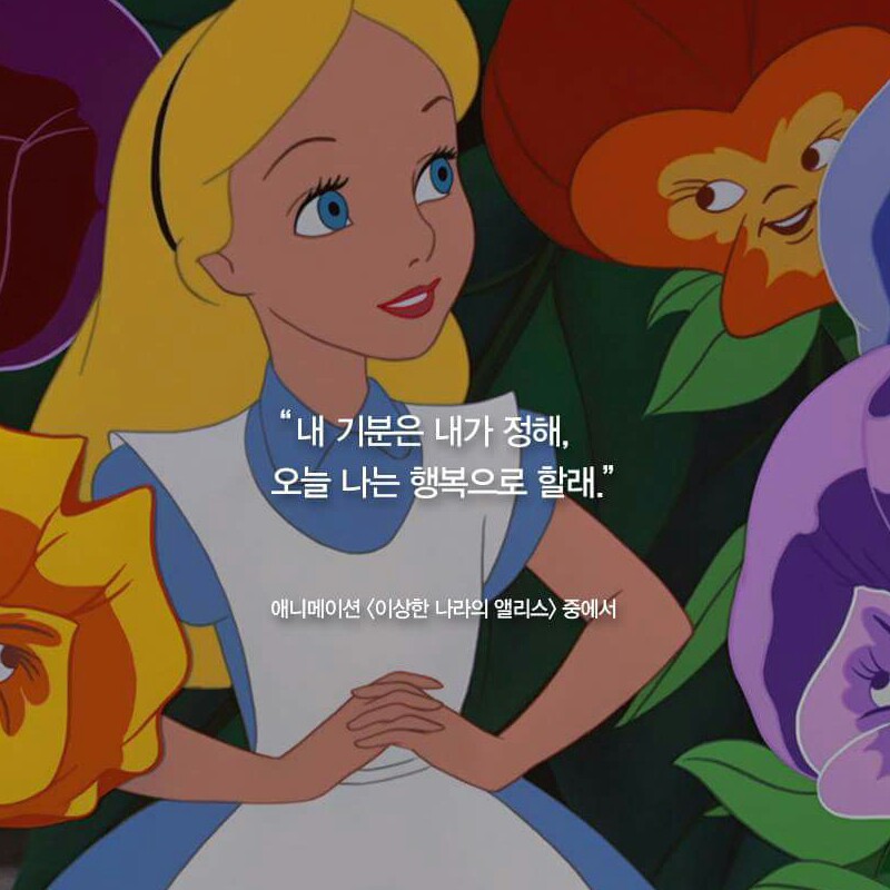 찌니쪼이 프로필