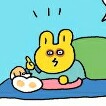 야호어린태양 프로필