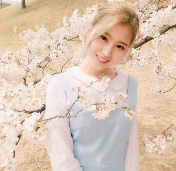 녕숭아 프로필