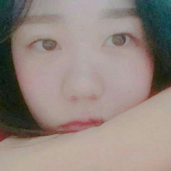 기둘기둘비둘기 프로필
