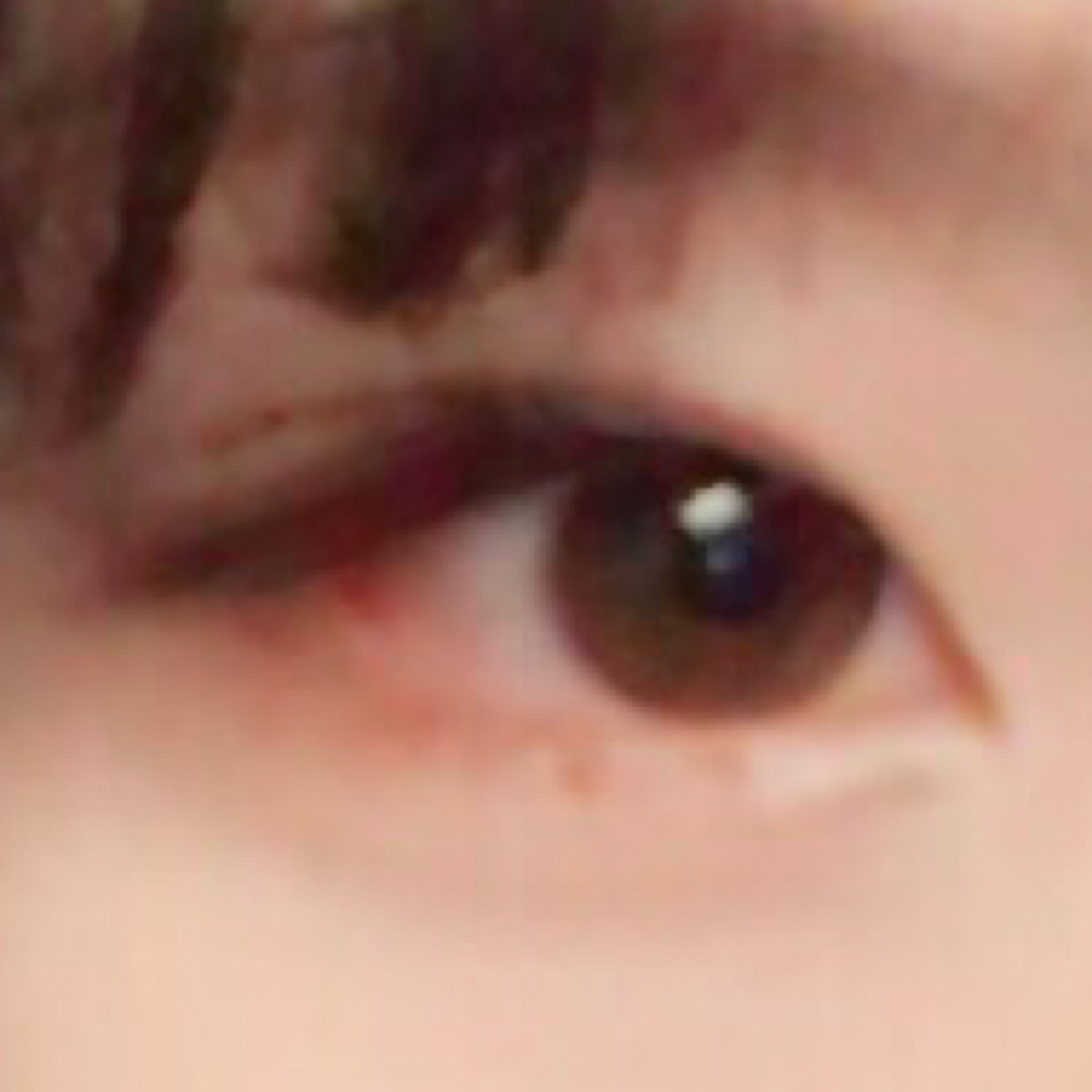 기리니이 프로필