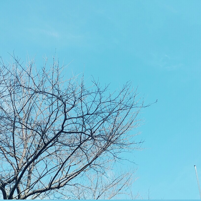 뷰티덕쿠 프로필