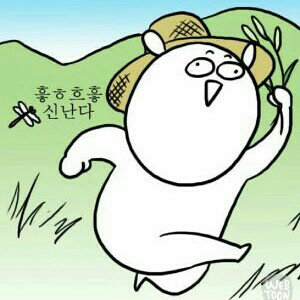 홍식잇 프로필