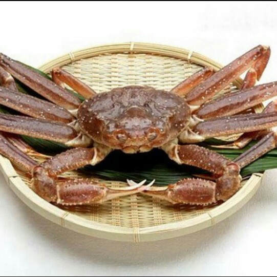 리뷰어 프로필