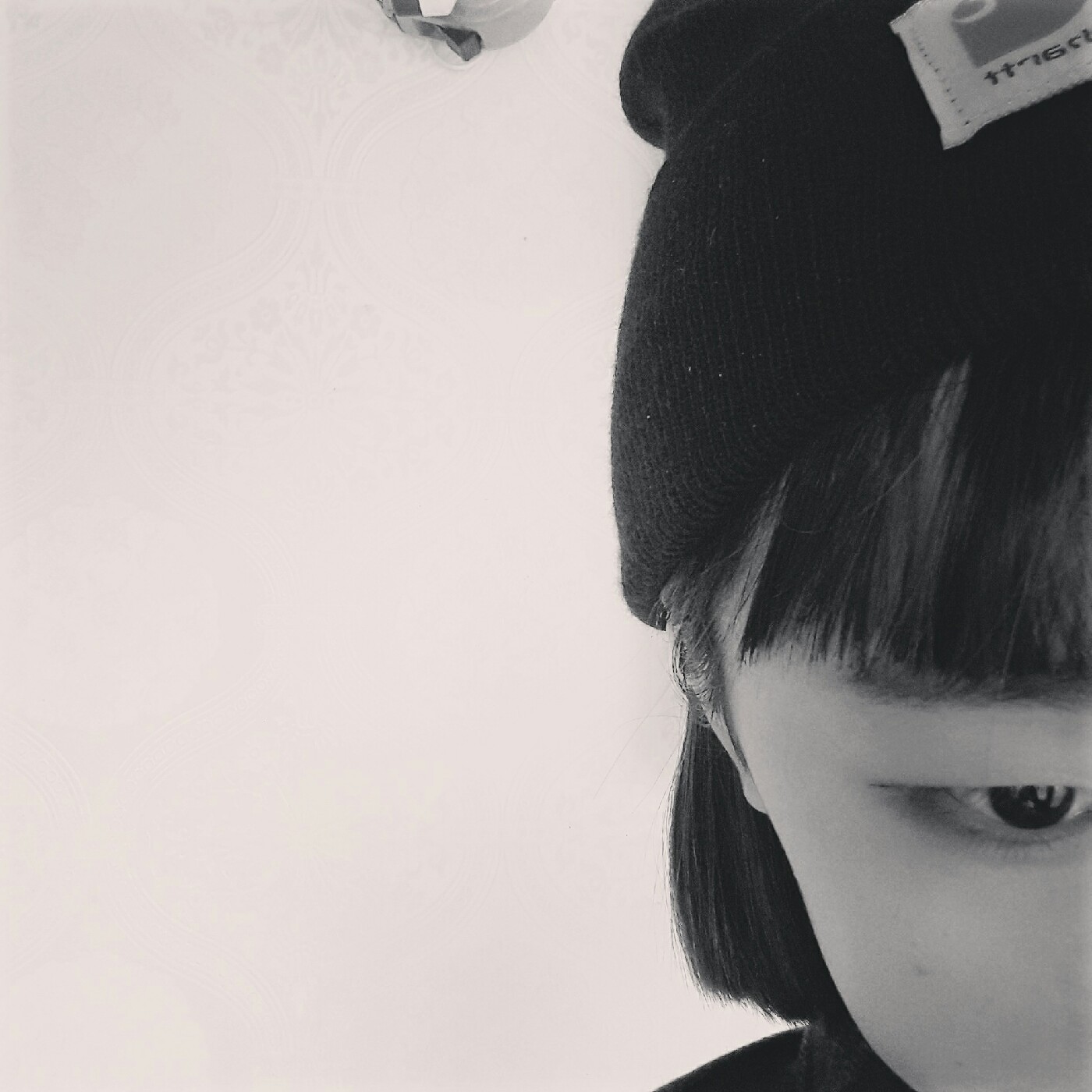 조선왕조실록샐록 프로필