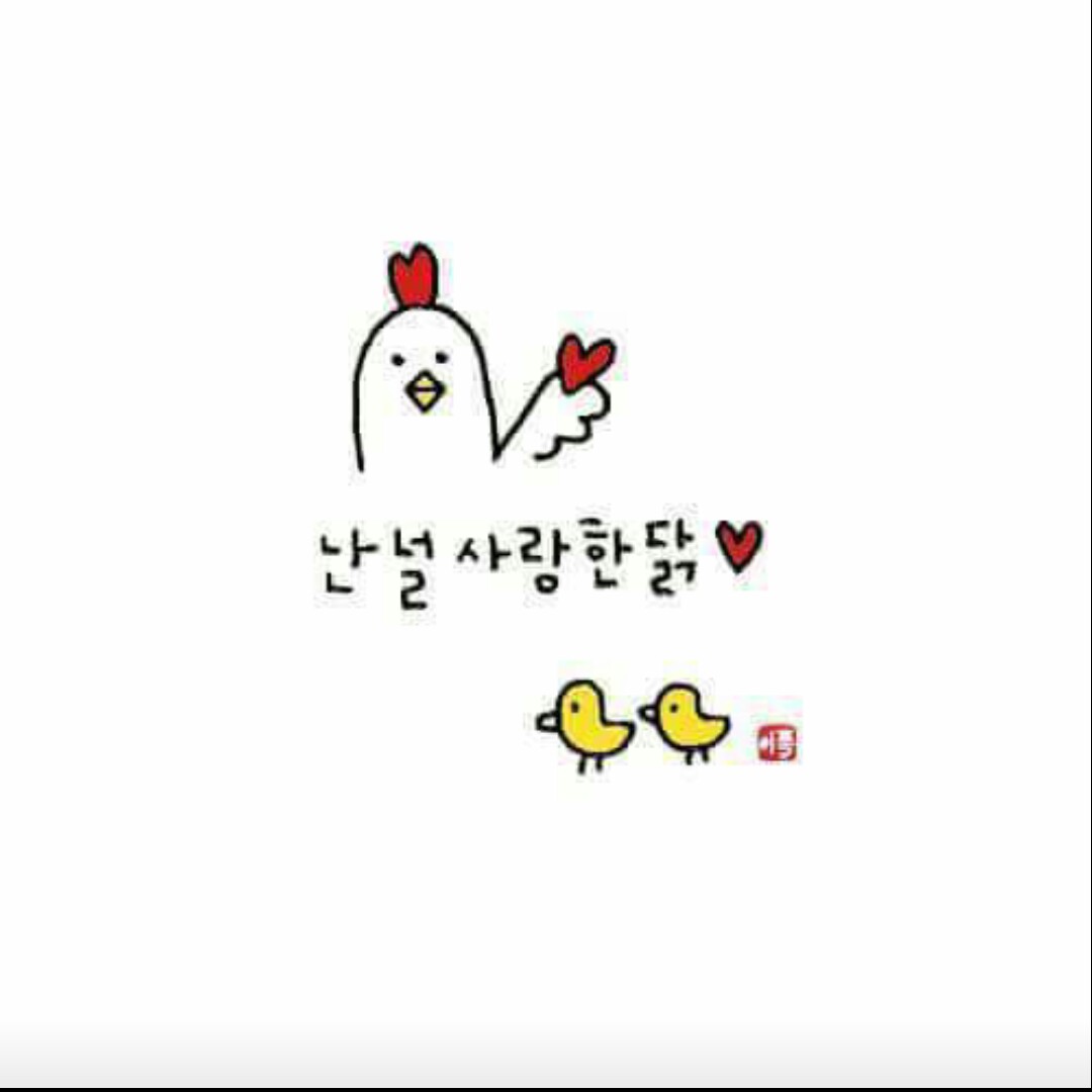 수수정 프로필
