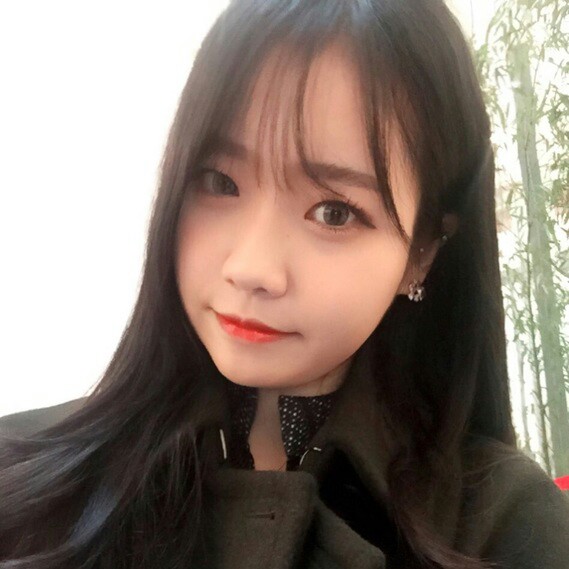 향진짜좋다 프로필