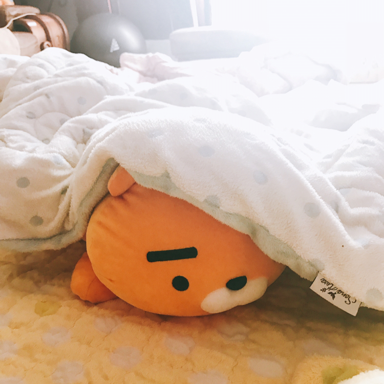 안하 프로필