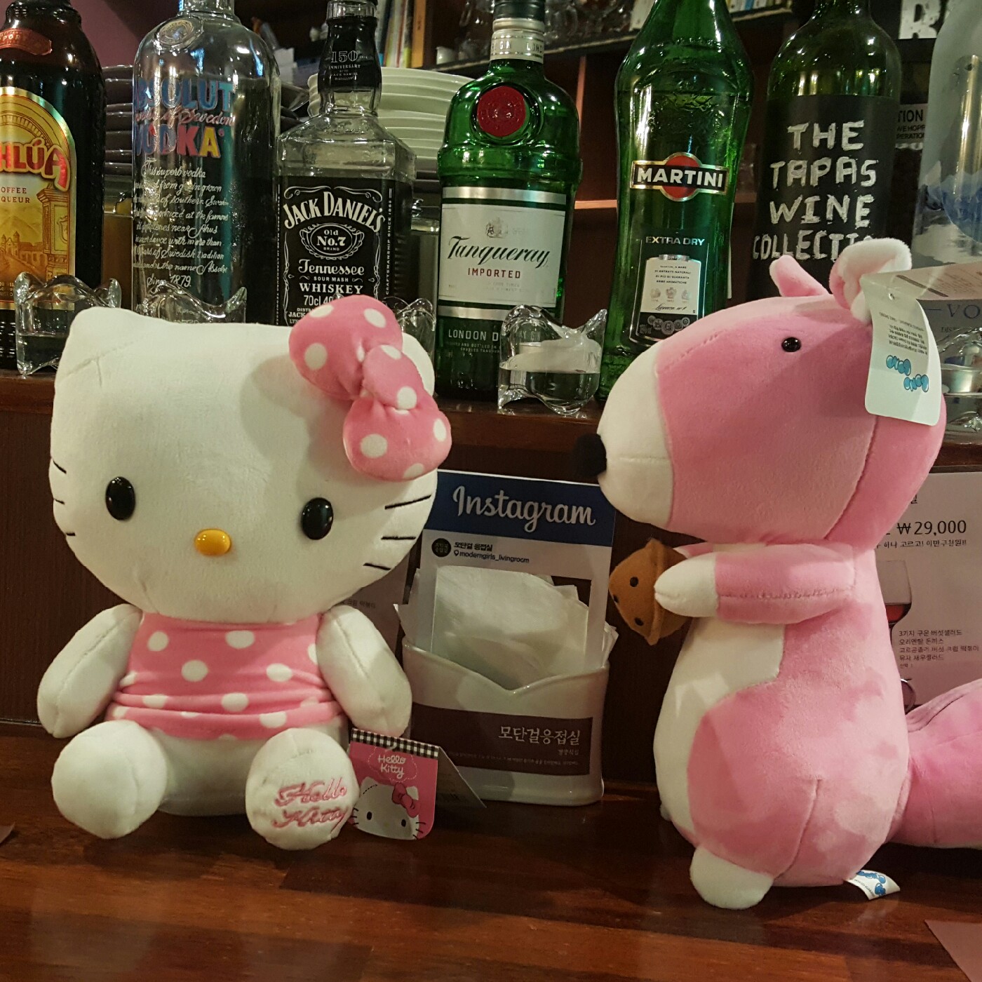 MINIGIRL 프로필