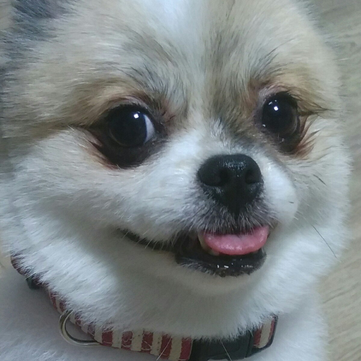 리뷰어 프로필