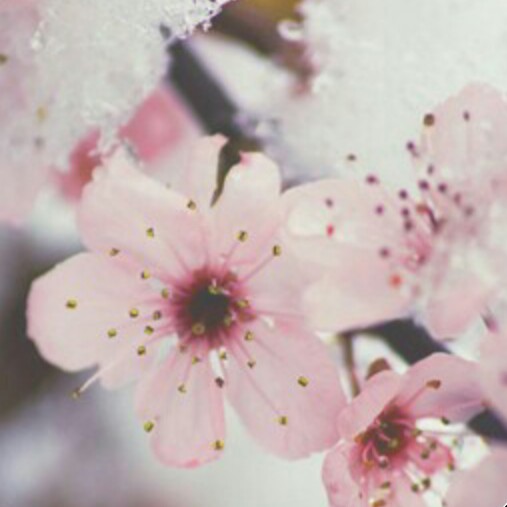 박산 프로필