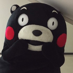 레드빈 프로필