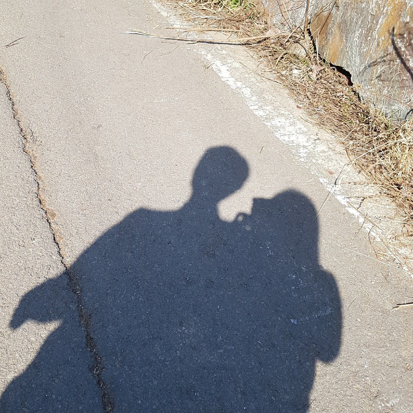 바밤바밤비 프로필