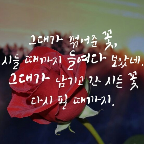 배우기 프로필
