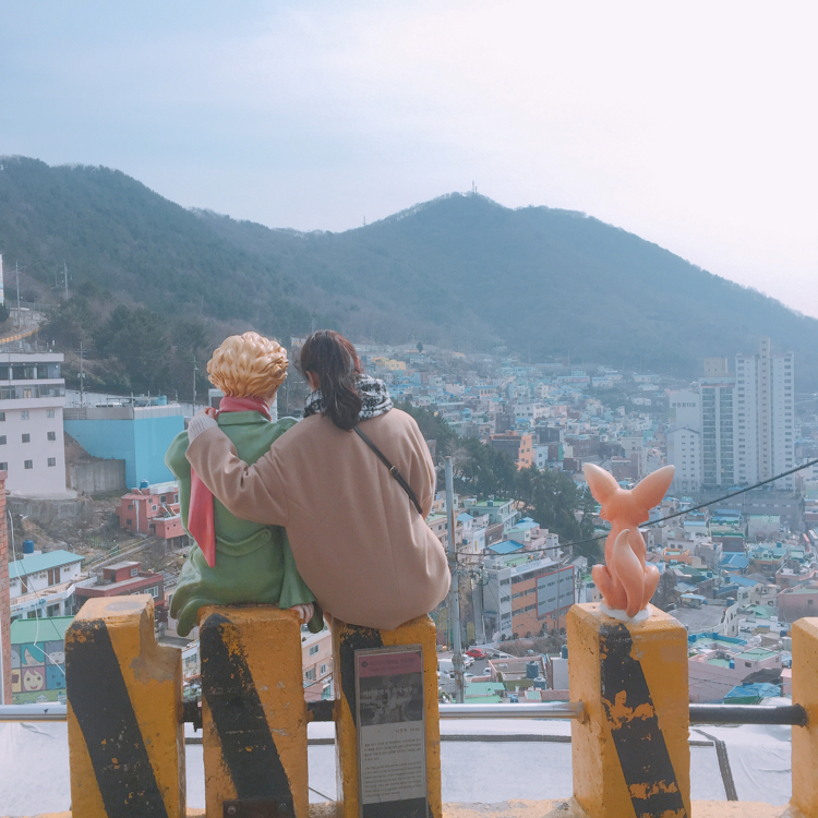 배주인 프로필