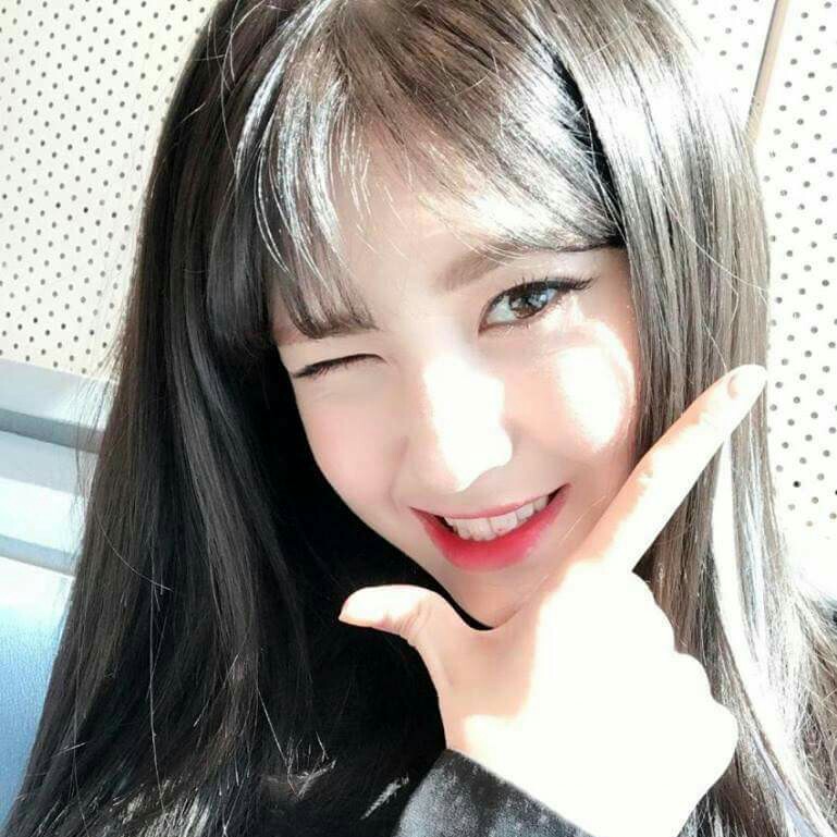 솜뷔 프로필